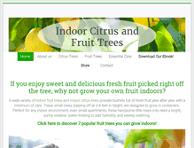 Tablet Screenshot of indoorcitrustrees.com